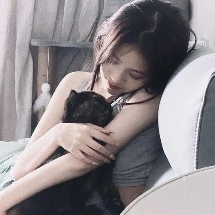 捣乱的三网客